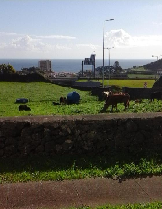 Ocean View Flat Ponta Delgada - Açores Exterior foto